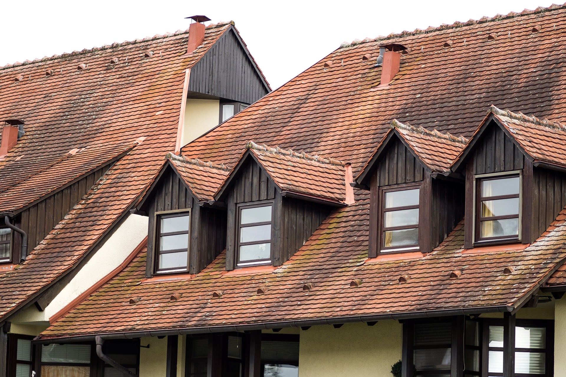 Algen bilden auf dem Dach einen dunklen oder grünlichen Belag