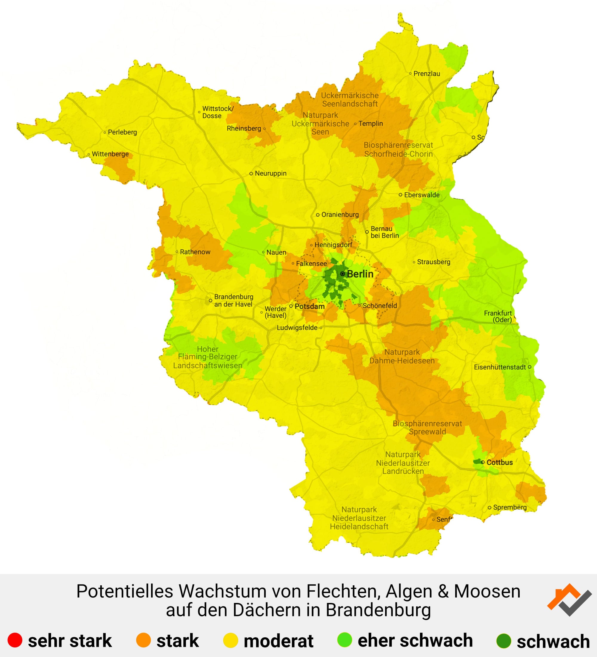 Infografik: Karte mit Wachstum von Flechten, Algen und Moosen auf den Dächern in Brandenburg