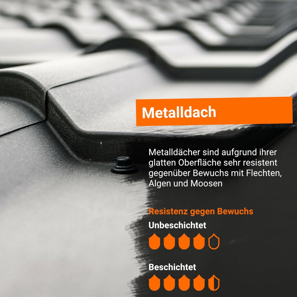 Infografik: So gut wachsen Flechten, Algen und Moose auf Dach mit Metall-Dachplatten