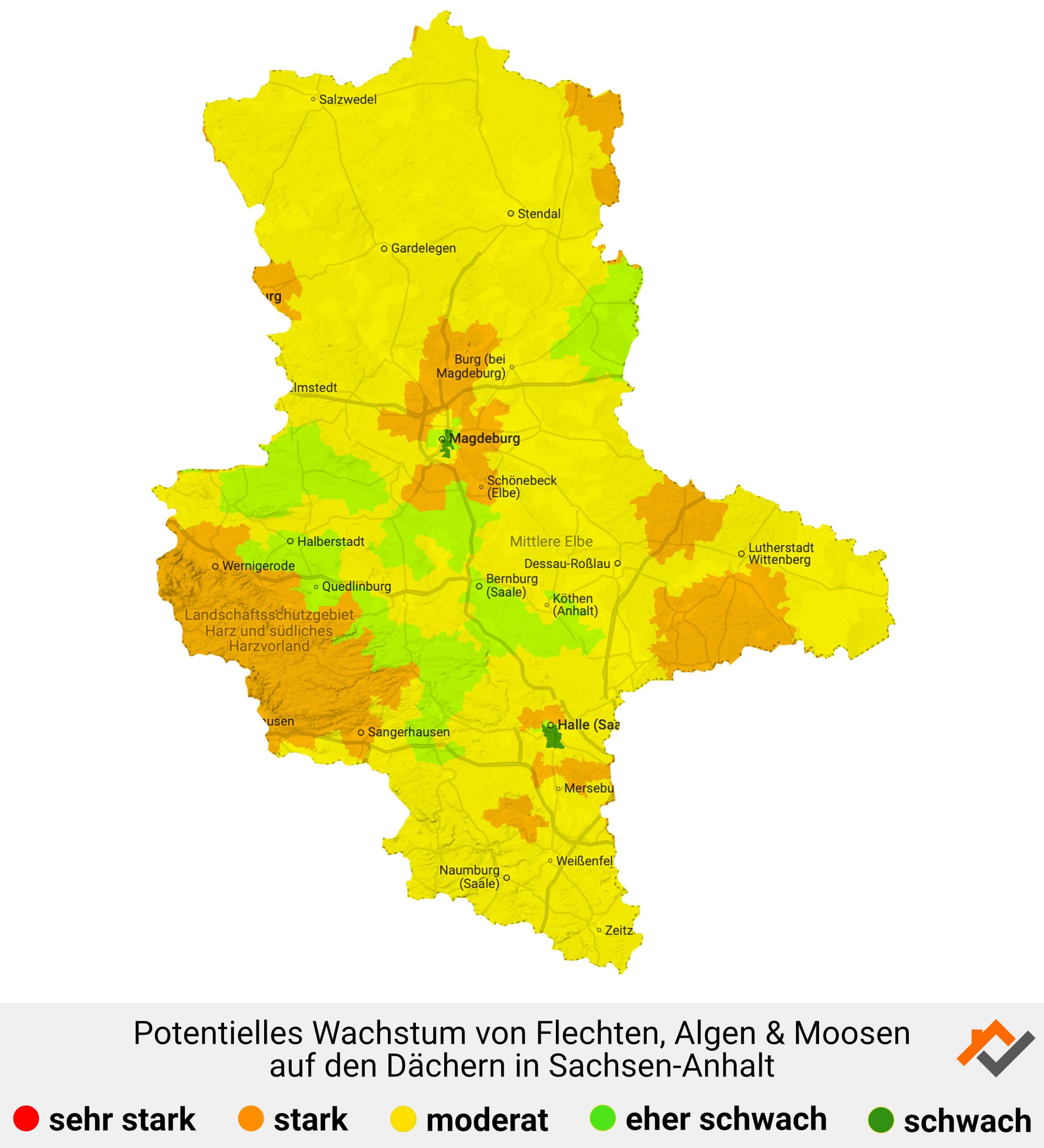 Infografik: Karte mit Wachstum von Flechten, Algen und Moosen auf den Dächern in Sachsen-Anhalt