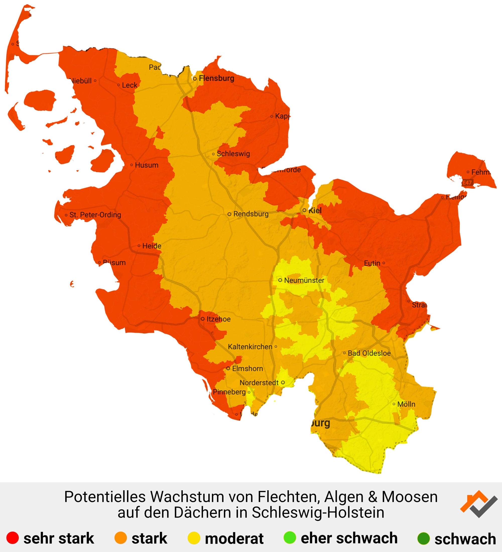 Infografik: Karte mit Wachstum von Flechten, Algen und Moosen auf den Dächern in Schleswig-Holstein