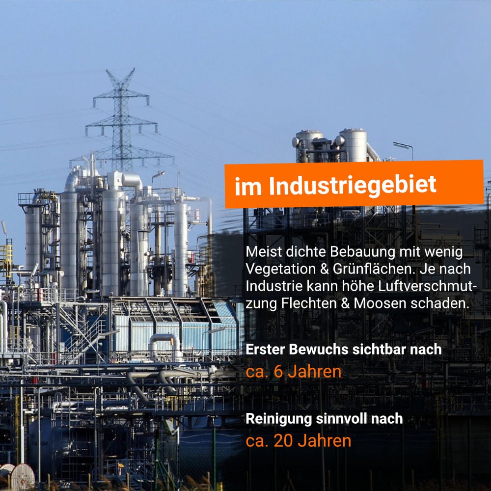 Infografik: So gut wachsen Flechten, Algen und Moose auf Dächern im Industriegebiet